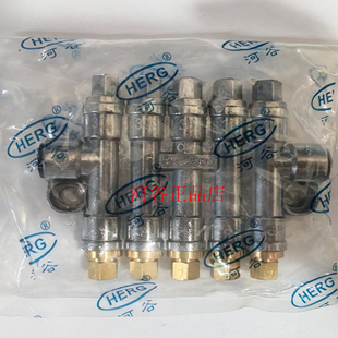 河谷RERG油排 加工中心分油器导轨润滑点 数控机床油路分配器2500