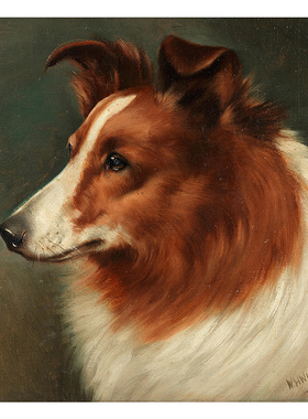 苏格兰牧羊犬 Carl Reichert奥地利动物油画 欧式儿童房装饰画芯