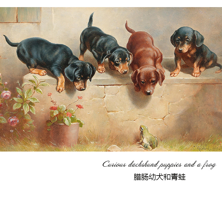 腊肠幼犬和青蛙奥地利动物油画