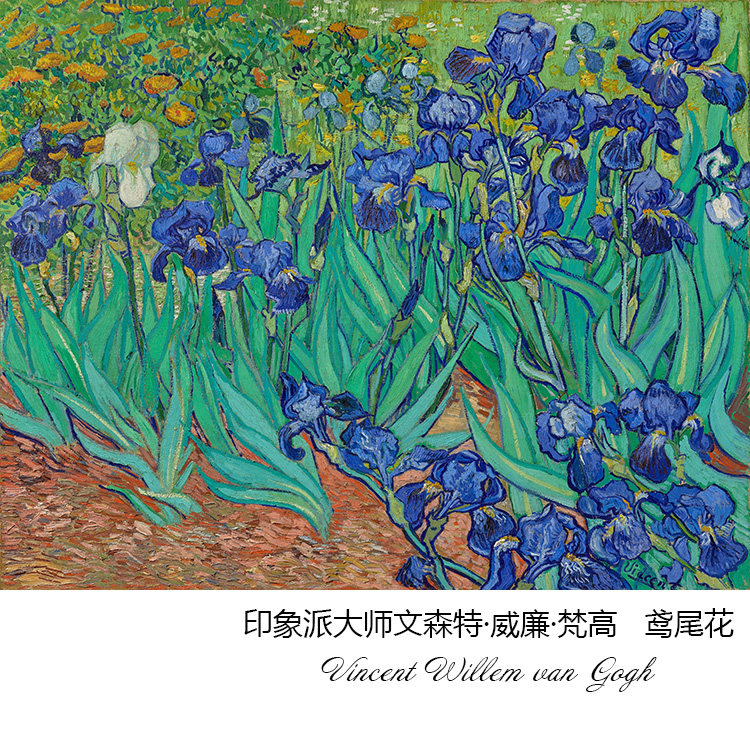 鸢尾花 梵高van gogh后印象派风景油画 客厅玄关餐厅装饰画芯超清