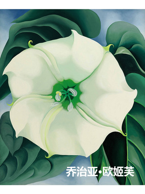 曼陀罗白花1号花卉抽象装饰画