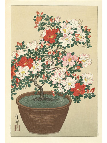 花盆中的杜鹃花日本浮世绘装饰画
