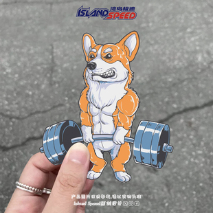 健身肌肉柯基犬萌宠举重硬拉创意可爱卡通搞笑汽车贴纸装 饰贴画