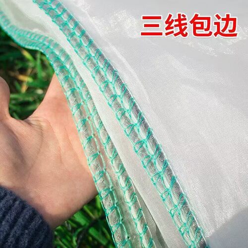 加密晾晒网晒油菜籽网晒芝麻网不漏菜籽网晒鱼干梅干菜茶叶茶青网