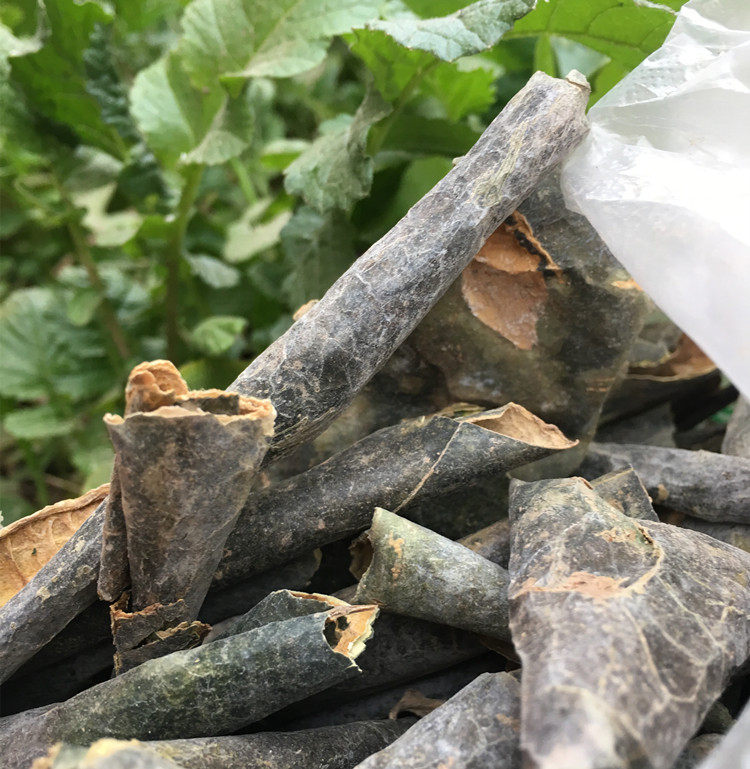 冬瓜皮无杂质荷叶茶玉米须中药材