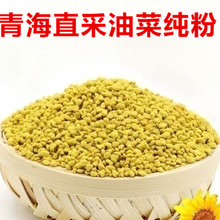 2023新青海油菜花粉未破壁食用花粉5斤包邮油菜纯粉蜜蜂养蜂工具