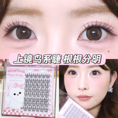 minetook上镜鸟系假睫毛单簇韩系女团上镜眼睫毛分段式 根根分明