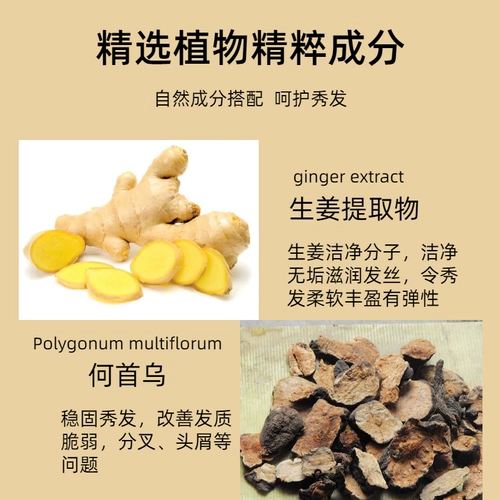 Шампунь с имбирем, комплект, кондиционер, контроль жирного блеска, удаление перхоти, против зуда