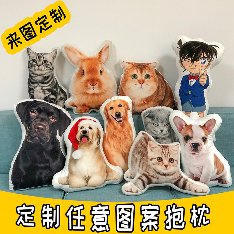 毕业设计diy来图定制照片异形抱枕宠物3d枕头搞怪猪头大靠垫靠枕