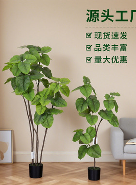 仿真绿植心叶榕琴叶爱心榕北欧风家居客厅落地植物盆栽橱窗造景