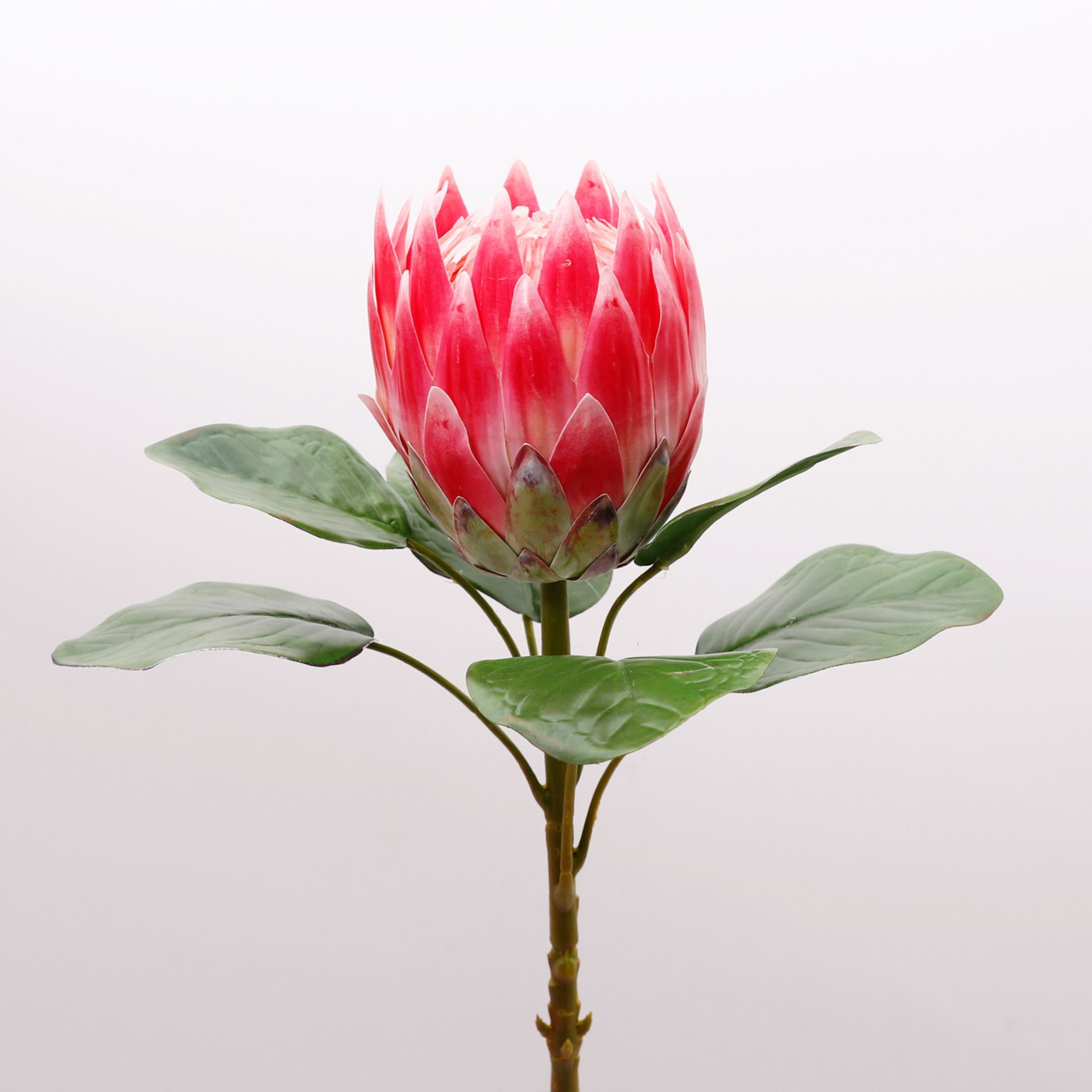 欧丽菲3D单支帝王花欧式落地仿真霸王花软装家居高档假花