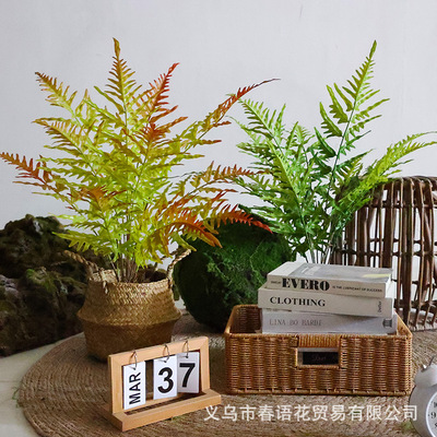 仿真蕨类植物厥叶仿真绿植室内插花布景植物装饰造景塑料微观景