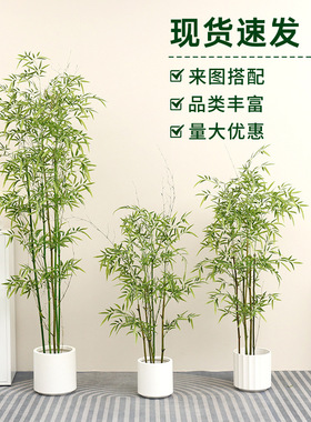仿真竹子绿竹盆栽假竹子庭院室外造景装饰摄影道具  大型落地盆栽