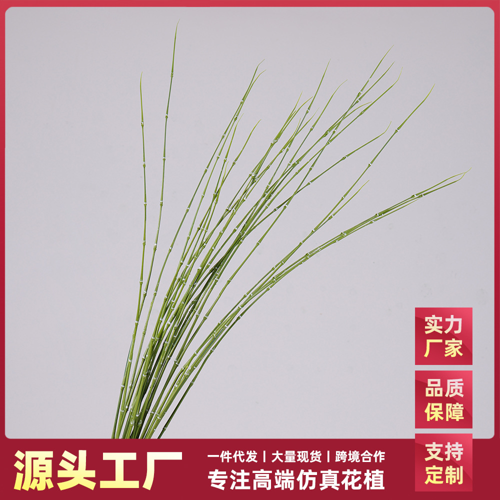 仿真植物木贼竹节草加长花艺绿植装饰水竹子春枝插花园林造景摆件
