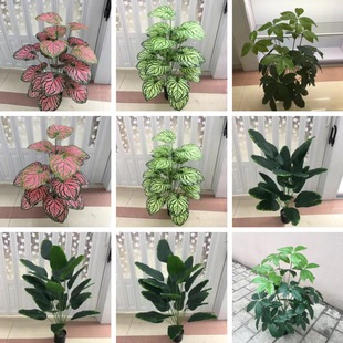 高杆24头仿真绿植盆景仿真旅人蕉发财树海芋叶滴水观音龟背竹植物