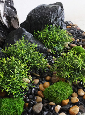 仿真蕨类植物天门冬肾蕨波斯草凤凰蕨背景墙花箱盆栽造景装饰绿植