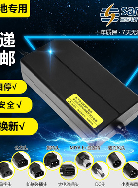 三石锂电充电器48V12AH24ah智能快充星恒新日爱玛雅迪电动车通用