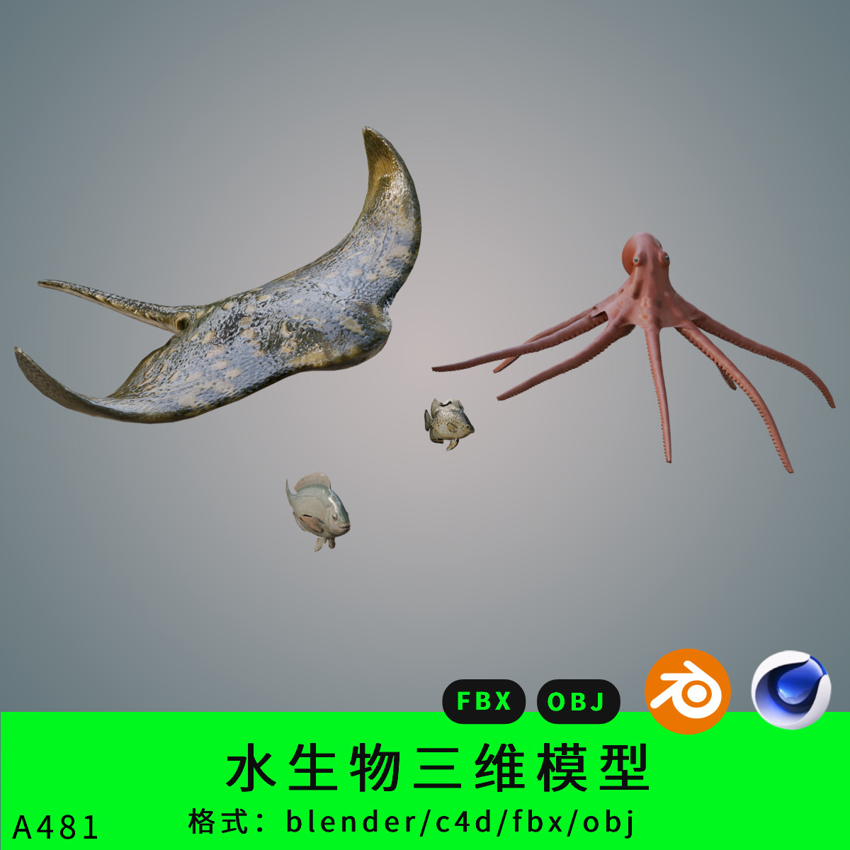 海洋水生物三维模型3d素材blender/c4d/fbx/obj蝙蝠鱼笼鲳八爪鱼