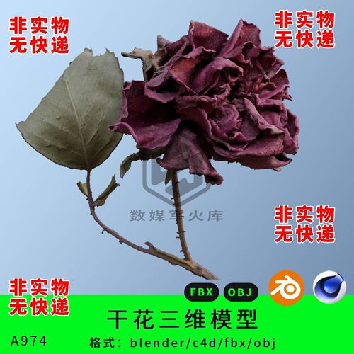 玫瑰干花三维模型3d素材blender/c4d/fbx/obj花卉月季花