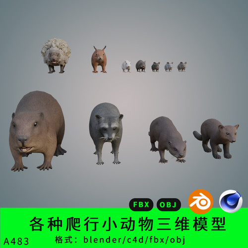 三维小动物模型3d素材blender/c4d松鼠黄鼠狼老鼠刺猬fbx/obj