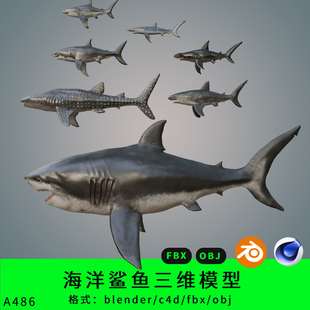鲨鱼集合三维模型3d素材blender/c4d/fbx/obj虎头鲨食人鲨