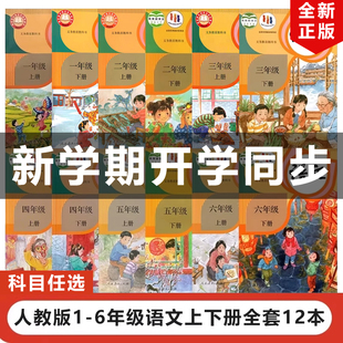 正版包邮2025适用部编版小学语文一二三四五六年级上下册语文全套12本教材教科书人民教育出版社人教版1-6年级上下册语文全套课本