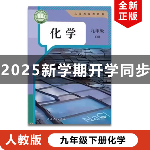 2025人教版九年级下册化学