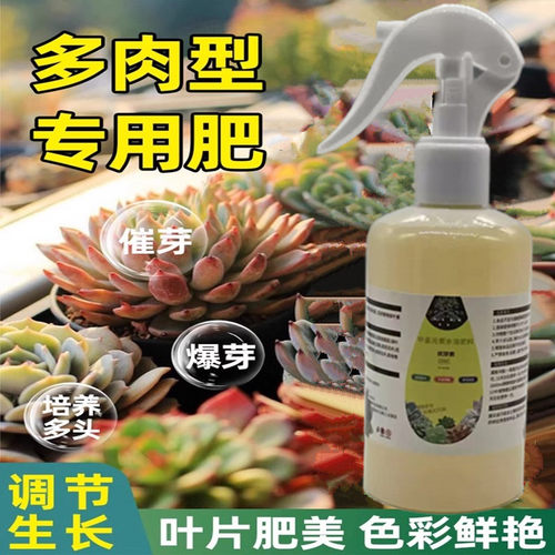 优芽素多肉专用爆芽素