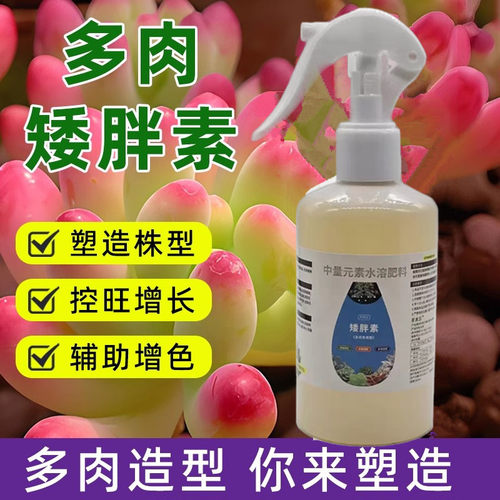 多肉专用矮胖素爆芽增色防徒长