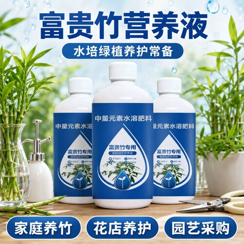 富贵竹专用营养液治叶子发黄生根
