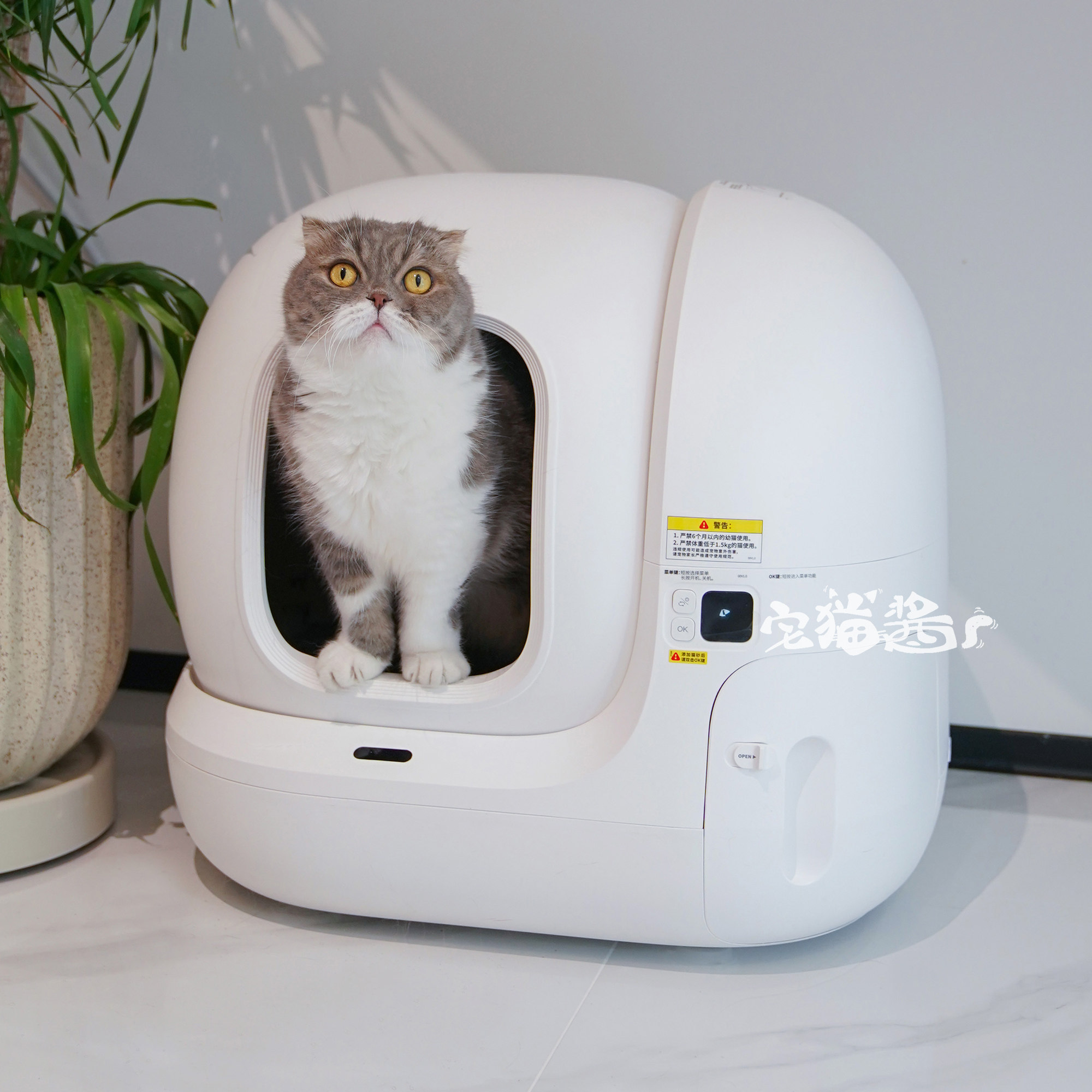 宅猫酱小佩自动猫砂盆智能猫厕所MAX2大号全封闭自动铲屎宠物用品