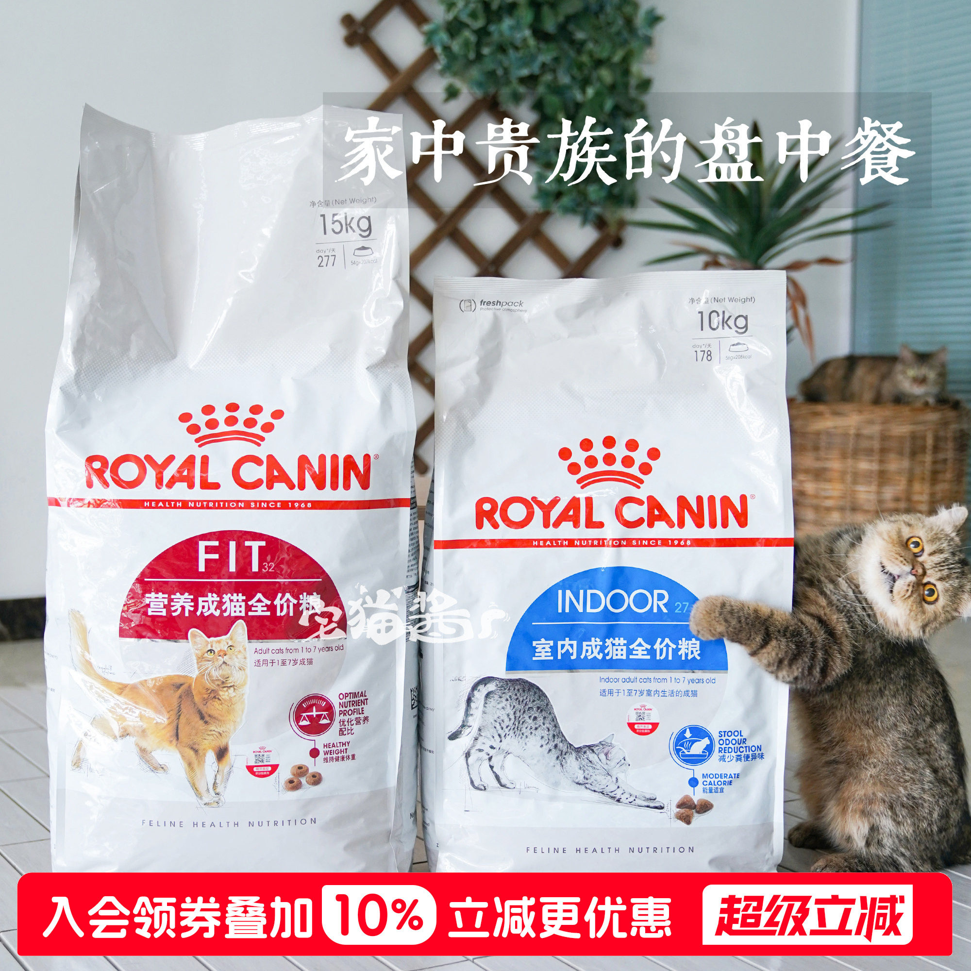 皇家k36bk34猫主粮减少便便臭味图片