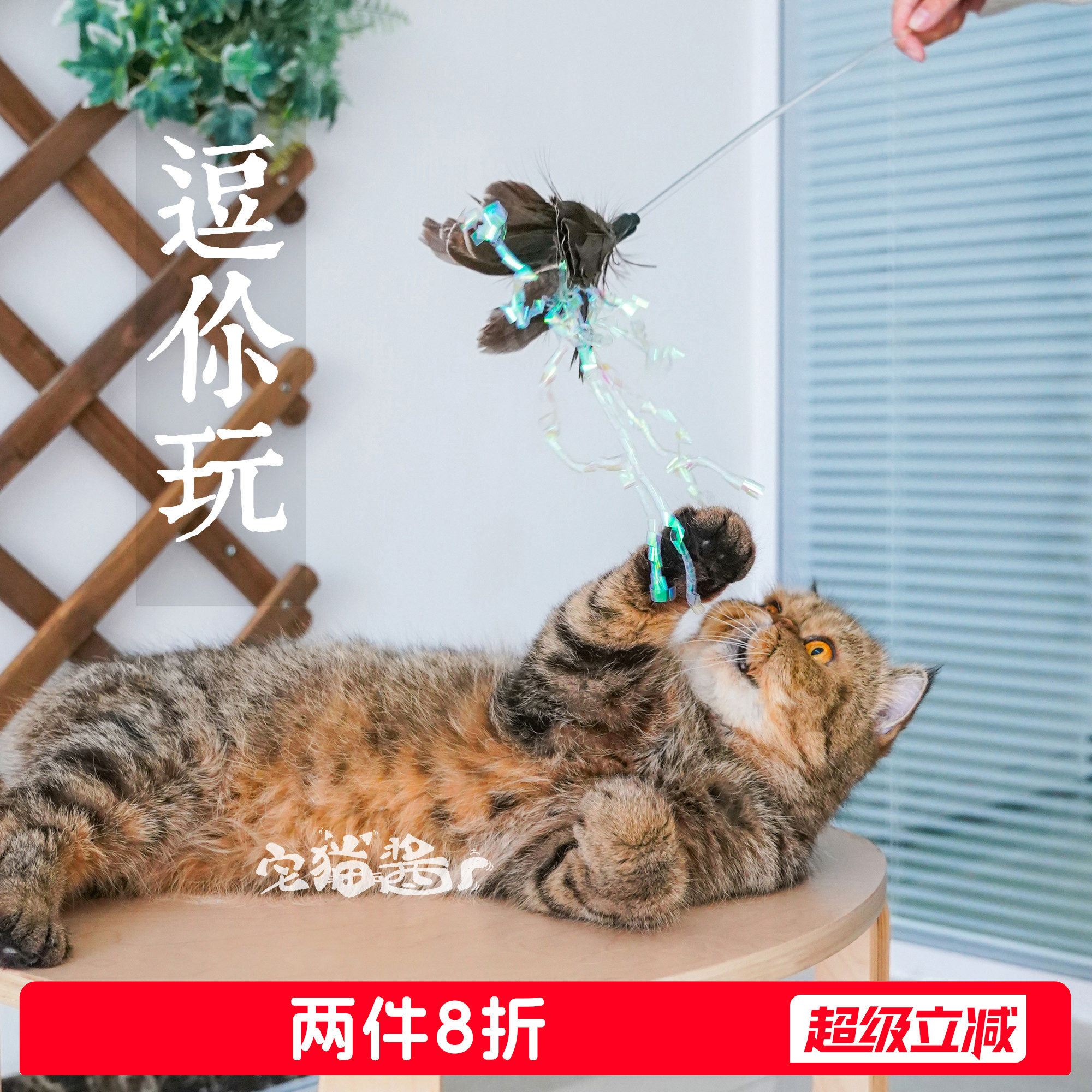 palspet逗猫棒猫咪玩具图片