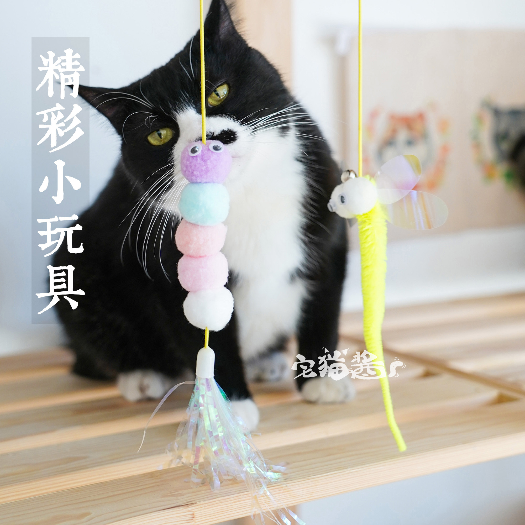 宅猫酱 佩格小猫自嗨弹力绳猫玩具羽毛铃铛逗猫棒悬挂荡秋千玩具图片