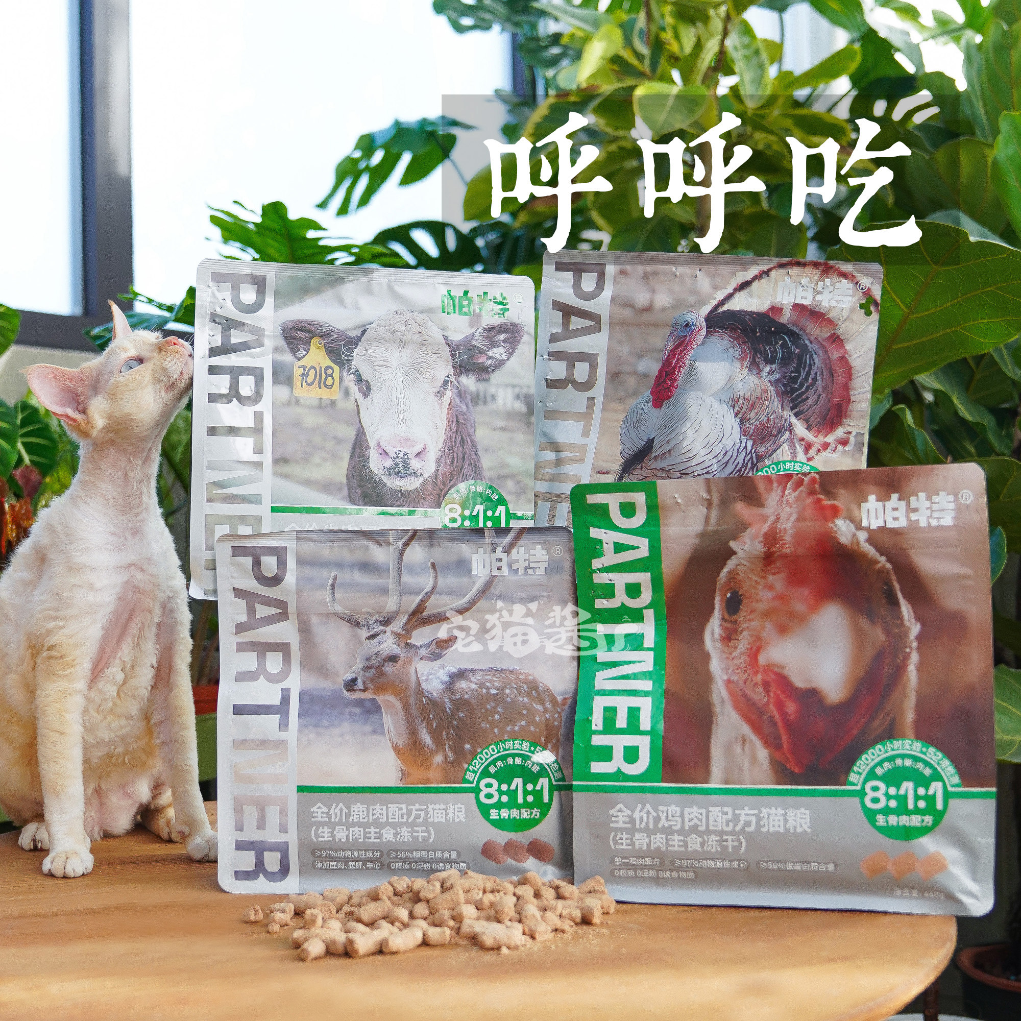 宅猫酱 帕特爱心冻干生骨肉火鸡鹿肉牛肉鸡肉配方成幼猫主食肉饼