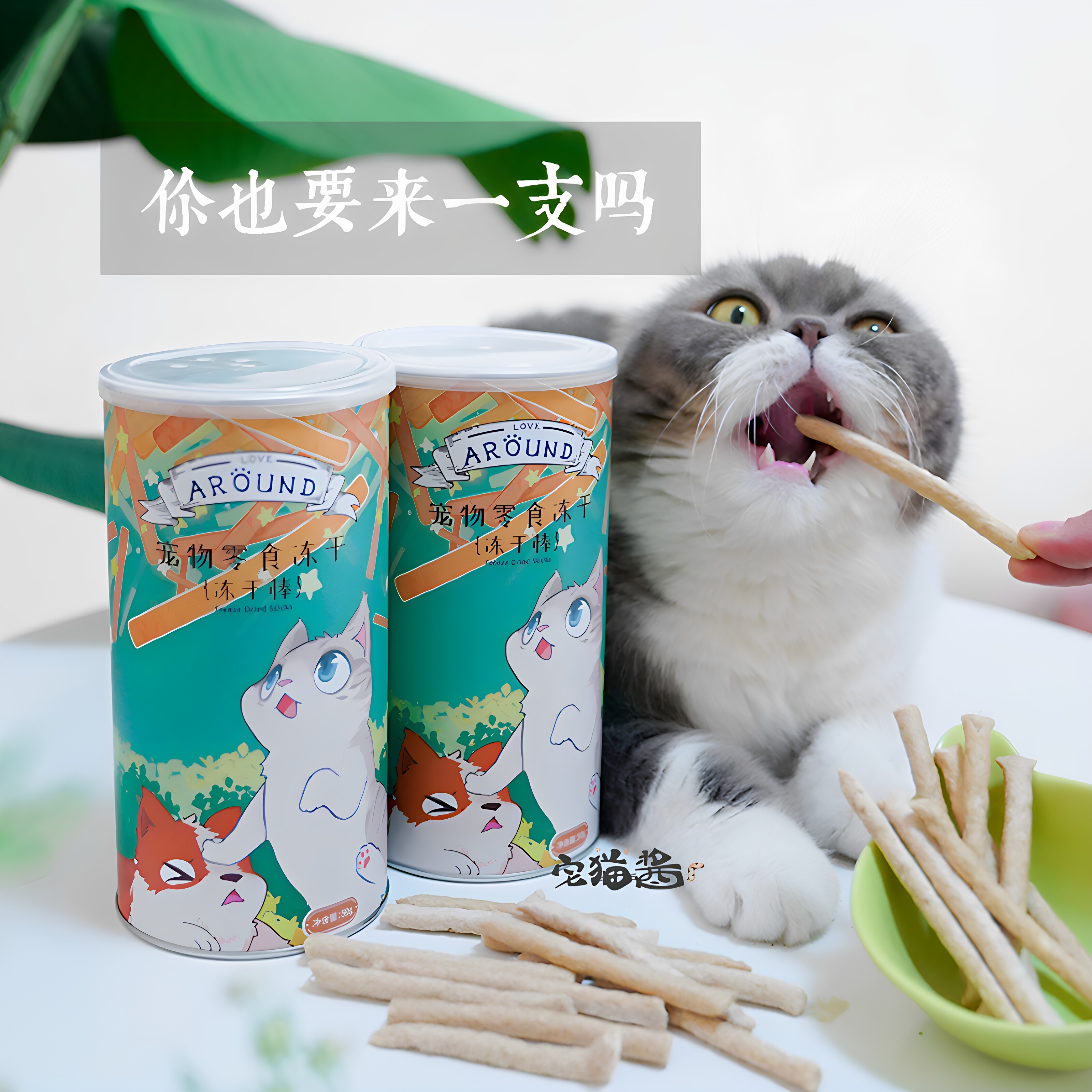 爱立方营养冻干鸡肉味图片