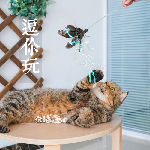 palspet逗猫棒猫咪玩具