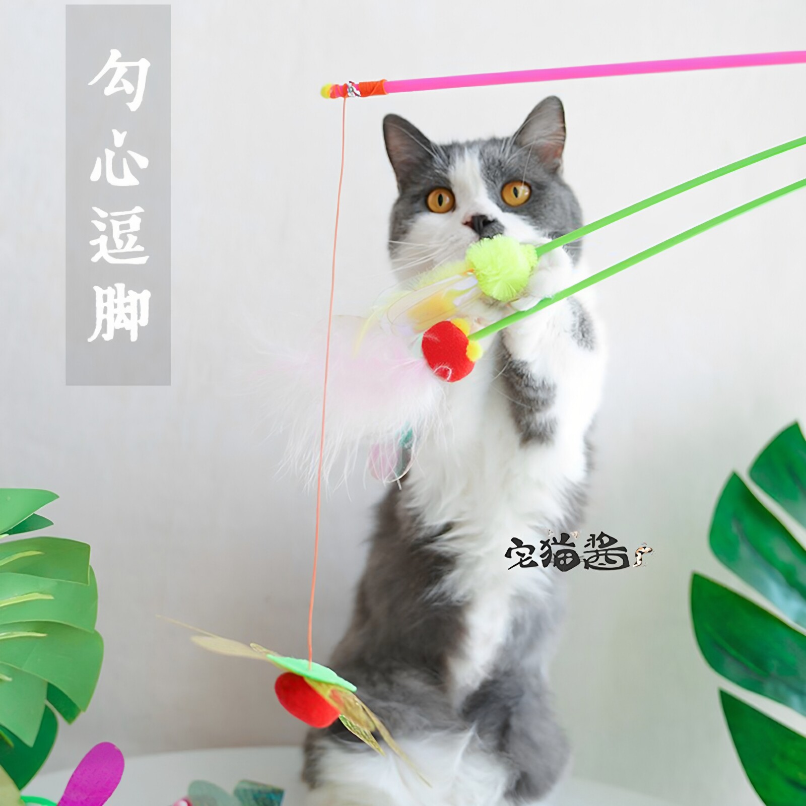 amycarol田园系列亮片互动逗猫棒图片