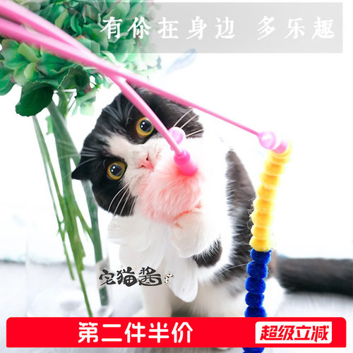 宅猫酱日本petio猫咪