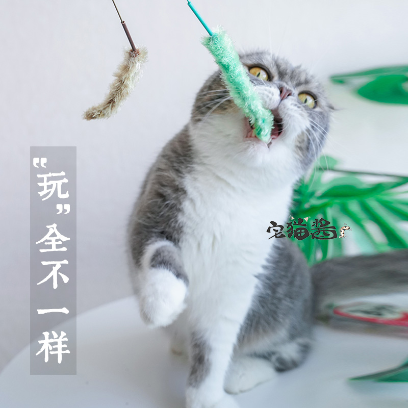 多格漫狗尾巴草逗猫棒