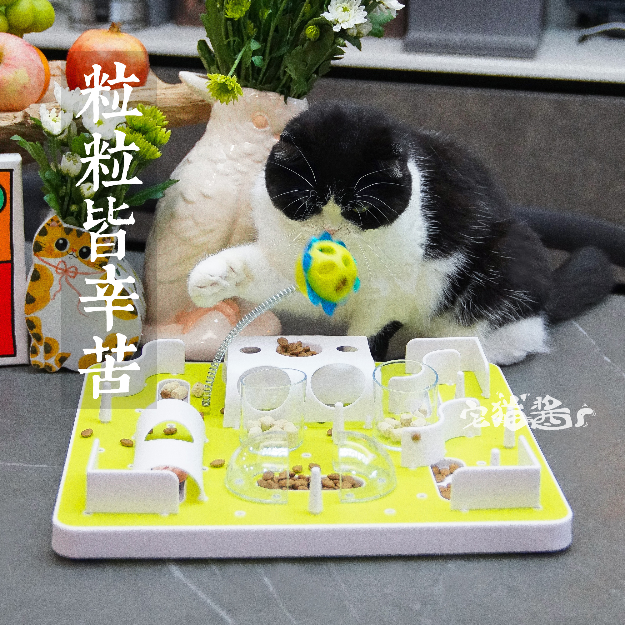 AFP猫咪慢食碗迷宫逗猫棒猫玩具