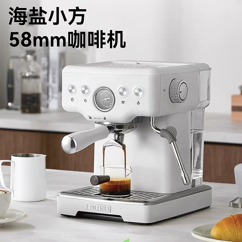 Petrus/柏翠PE3833海盐小方Pro小型家用咖啡机半自动