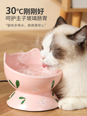 恒温陶瓷猫咪饮水机宠物加热饮水器碗喝水不湿嘴幼猫喂食狗狗用品