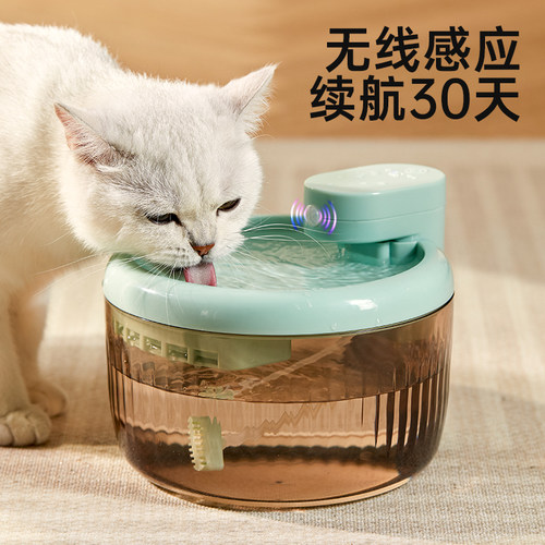 猫咪饮水器自动循环感应出水