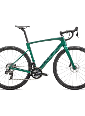 ROUBAIXSL8PRO碳纤维公路车