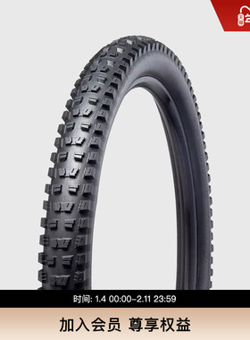 SPECIALIZED闪电 BUTCHER GRID TRAIL 2BR准真空山地车轮胎外胎