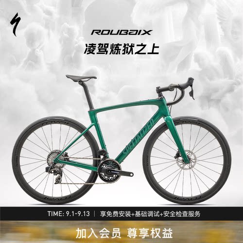 ROUBAIXSL8PRO碳纤维公路车