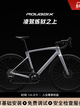 SPECIALIZED闪电 ROUBAIX SL8 EXPERT 碳纤维电变耐力公路自行车