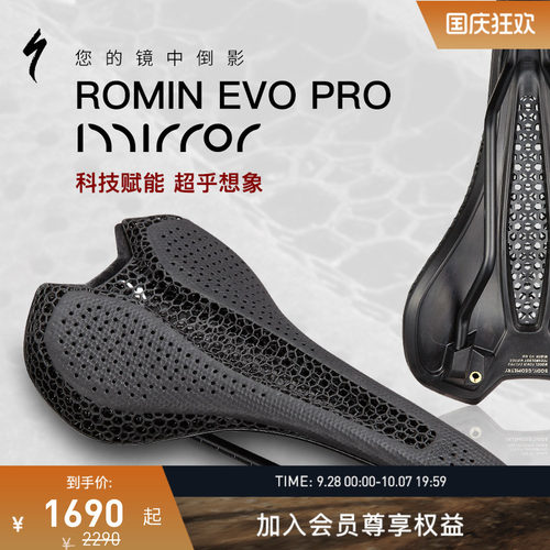 闪电ROMINEVOPROMIRROR座垫