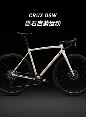 SPECIALIZED闪电 CRUX DSW COMP 轻量铝合金砾石公路自行车